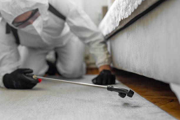 Professional Termite Control technician working in Walkerton, IN