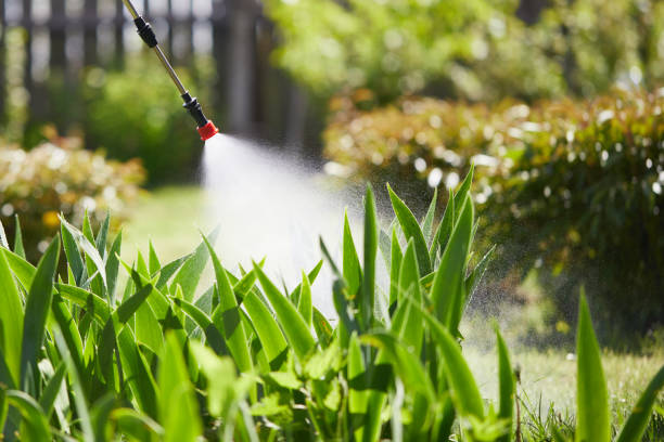 24/7 Emergency Termite Control experts in Walkerton, IN