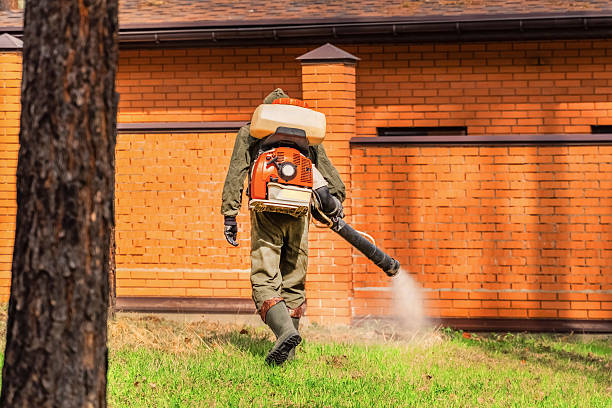 Top rated local Termite Control specialists in Walkerton, IN